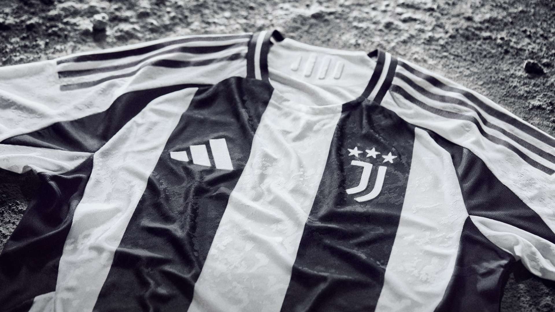 中的两支竞 中的两支竞